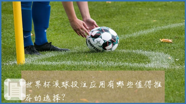 世界杯滚球投注应用有哪些值得推荐的选择？