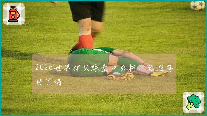 2026世界杯买球盘口分析，你准备好了吗