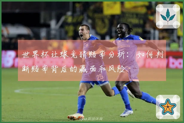 世界杯让球竞猜赔率分析：如何判断赔率背后的赢面和风险