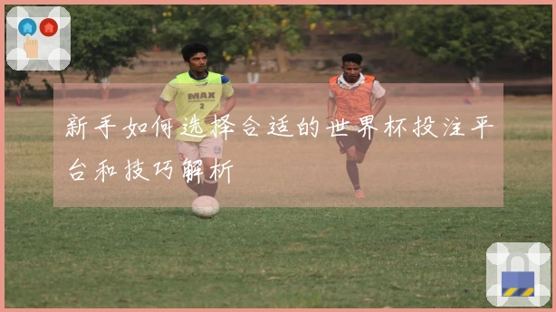 新手如何选择合适的世界杯投注平台和技巧解析